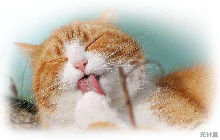 2025年最受欢迎的猫咪软件推荐，这些经典款让养猫更轻松