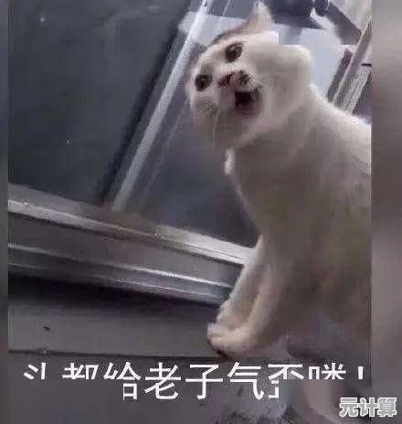 篮球迷必备：虎扑手机网带你速览NBA最新动态与深度解析！