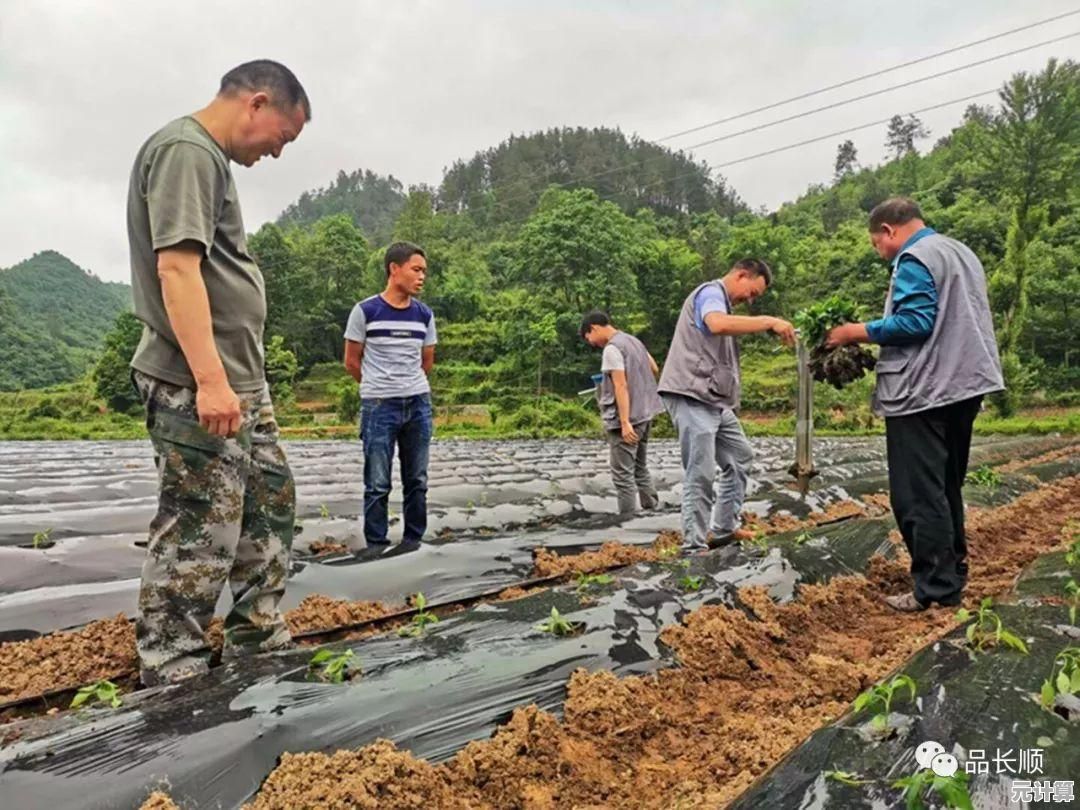 和朋友组队对抗僵尸？未转变者汉化版》不试试吗？