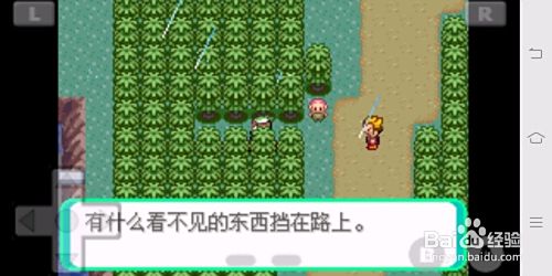 如何组建最强道馆战阵容？口袋妖怪绿宝石386版》教你策略收服！