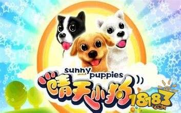 想领养萌宠陪伴生活？快来体验《晴天小狗百度版》吧！