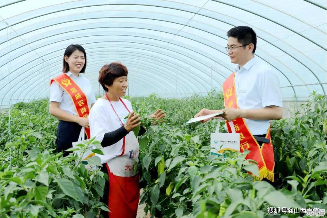 山东农信：以服务深耕三农沃土，用行动谱写乡村新篇