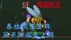 厌倦了千篇一律的玩法？泰拉瑞亚国际服的自由探险难道不香吗？