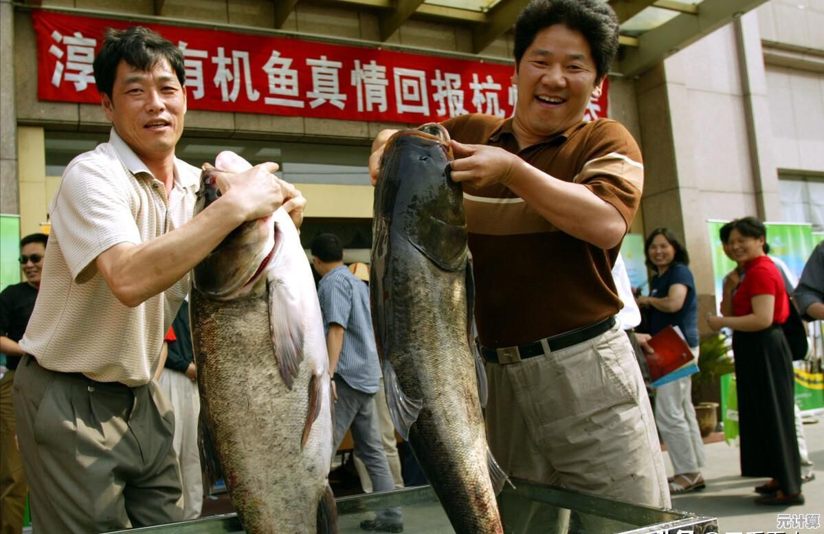 小鱼详细讲解设备破解原理与安全操作规范教程