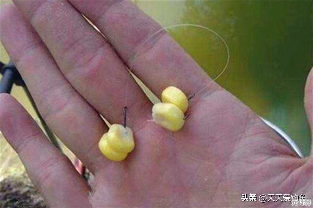 小鱼详细讲解设备破解原理与安全操作规范教程