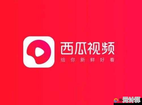 手机安装西瓜视频，海量高清内容等你来探索