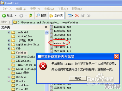 dat文件格式详解：探索其定义、常见用途及打开方式