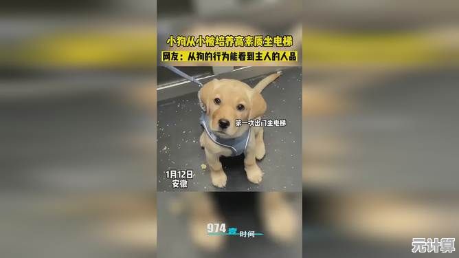 谁不想拥有会撒娇会炫技的小狗？晴天小狗百度版》满足你的养成愿望！