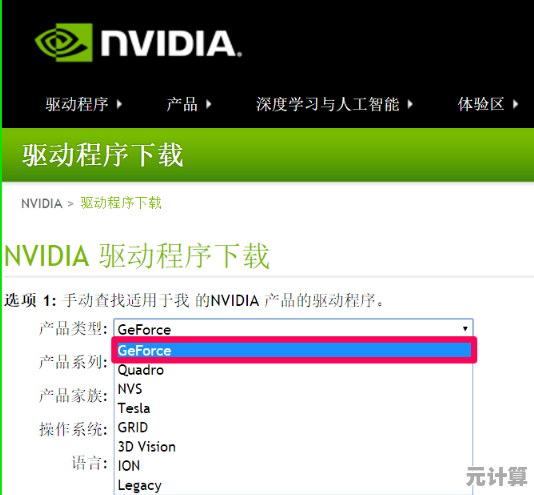 NVIDIA显卡官方驱动下载详细步骤-手把手教你快速安装与更新