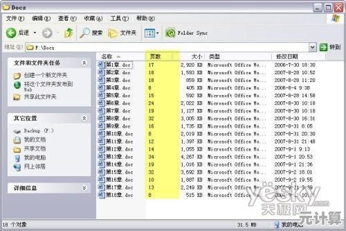 快速掌握DJVU文件打开方法，小鱼的实用教程来帮忙