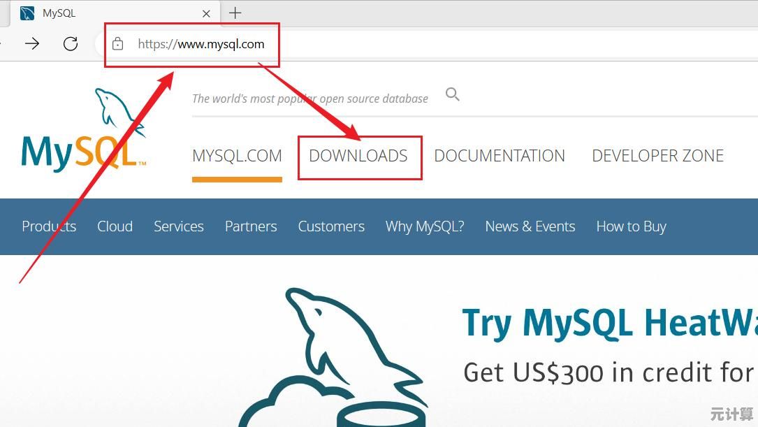MySQL数据库下载与安装教程：详细步骤及专业技巧分享