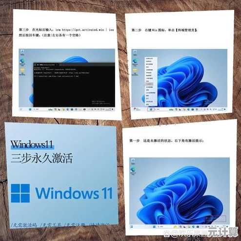 Windows 11 正版软件授权价格及官方购买方式完整指南
