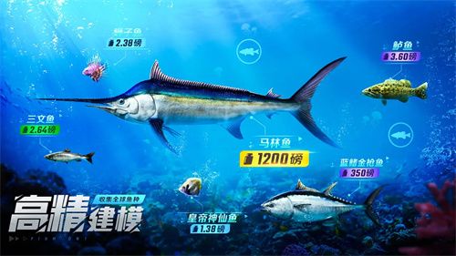 钓具搭配、鱼群图鉴、沉浸式体验—欢乐钓鱼大师正版》的极致钓鱼乐趣你不想试试吗？