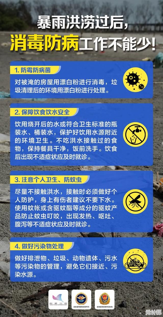 探索进入P站的安全途径与正确方法
