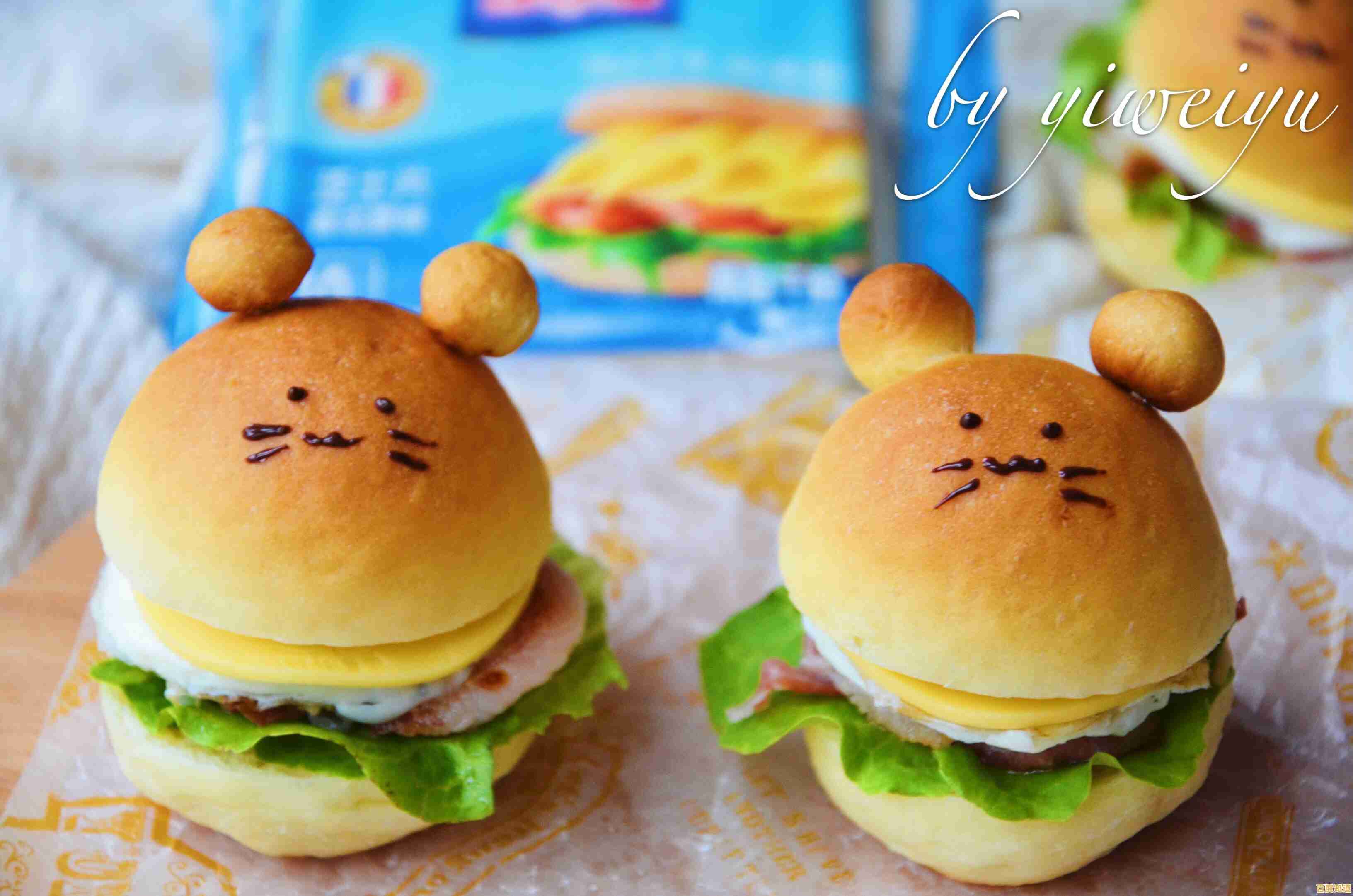 农行K宝高效使用技巧：从安装到安全支付的完整指引