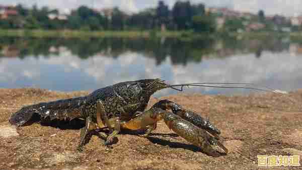 小鱼带您一步步学会如何截取经典电影精彩画面