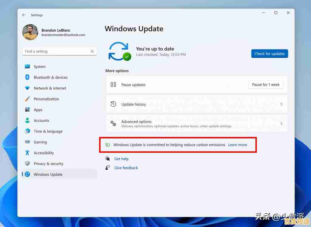 彻底关闭Windows 11设备更改提示的完整设置教程