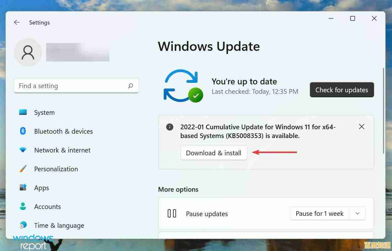 Windows 11系统项目复选框功能异常,试试这些解决方法