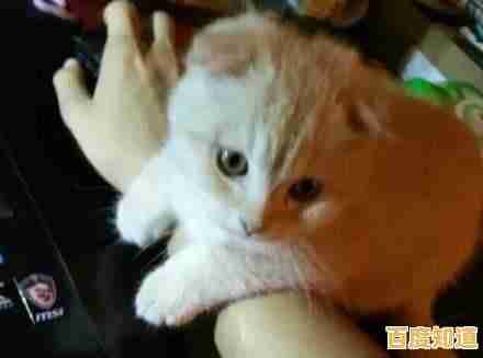 厌倦了复杂游戏?冒险猫正版》的简约画风不正是你的最爱吗?