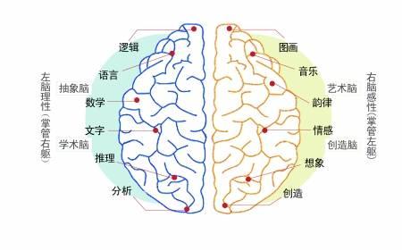 探索手机操作系统的奥秘:如何成为智能设备性能与体验的中枢