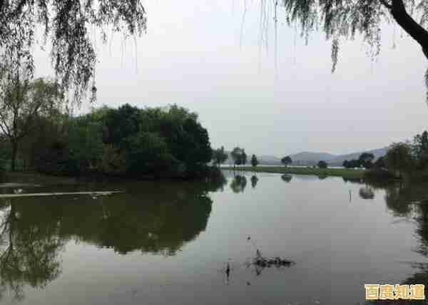 在《我的休闲时光》里打造个性家园,你准备好了吗?