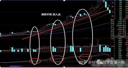 网心云快速上手:2024年实用技巧与高效应用全解析