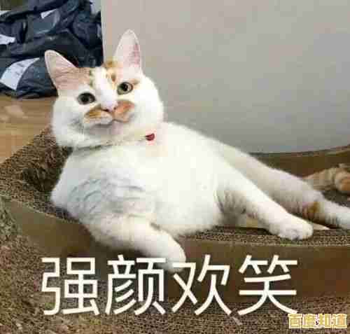 谁说养猫必须现实?猫咪后院汉化版》的卡通世界难道不能让你随时随地云吸猫?