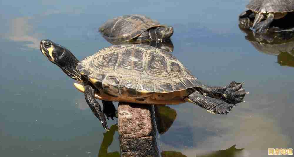 想亲手建造坚固基地并打造强力装备？打造世界最新版》合成系统满足你的创意！