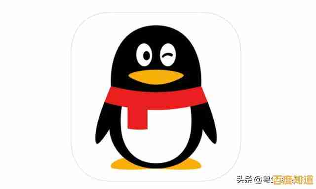 最新版QQ2019安卓安装包下载,畅享稳定聊天体验与丰富功能