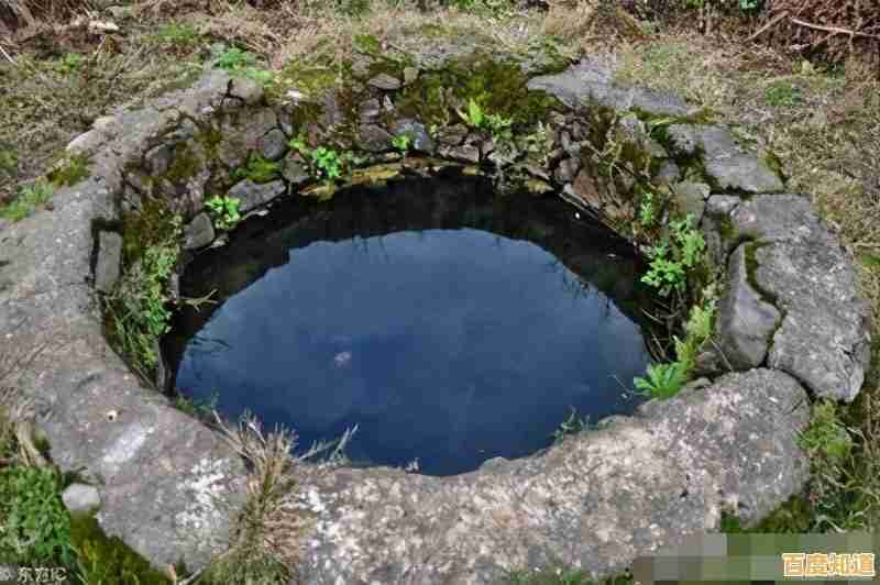 想体验真实历史背景下的养成挑战?试试《我的孩子生命之泉完整版》