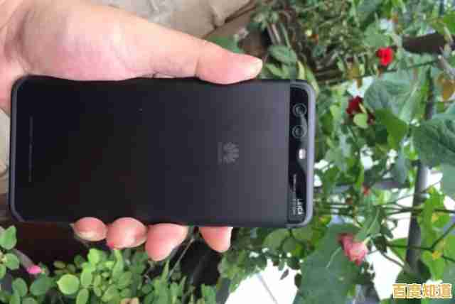 硬盘天梯图引领存储革命:解锁数字时代的无限存储可能性 硬盘天梯图引领存储革命:解锁数字时代的无限存储可能性