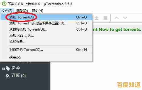 小鱼教您轻松打开torrent文件，电脑视频下载一看就会