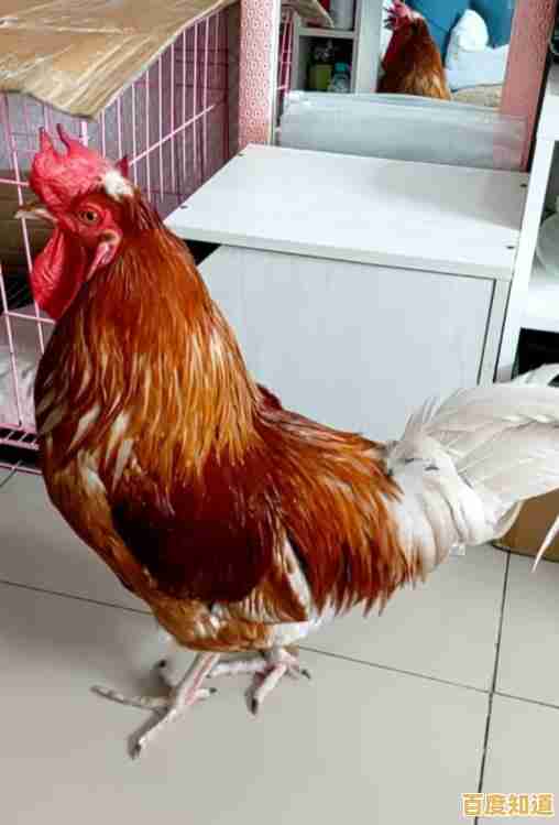 电脑闹钟:智能科技如何温柔唤醒您的每个清晨 电脑闹钟:智能科技如何温柔唤醒您的每个清晨