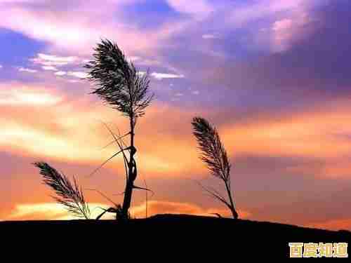 电脑组装卡住时海内存知己的应对策略