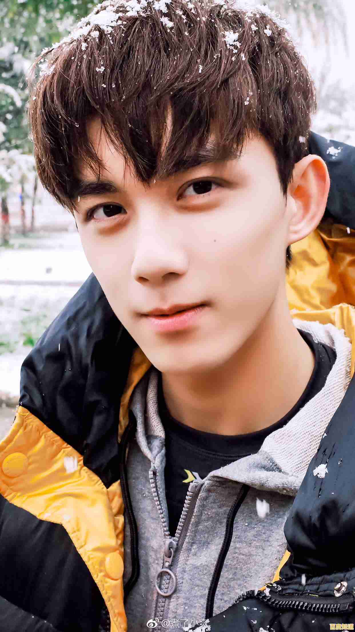 想要体验唯美治愈的冒险之旅？光遇正版》的画风与探索玩法你怎能错过！