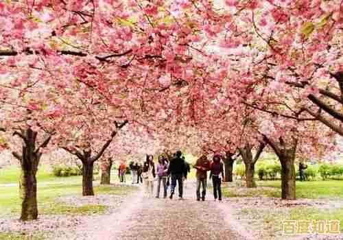 还在寻找心动邂逅？樱花恋爱笔记》满足你的所有幻想！