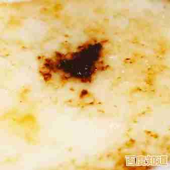 想挑战不同难度关卡?流行泡沫(Pop Bubble)的消除乐趣你体验了吗? 想挑战不同难度关卡?流行泡沫(Pop Bubble)的消除乐趣你体验了吗?