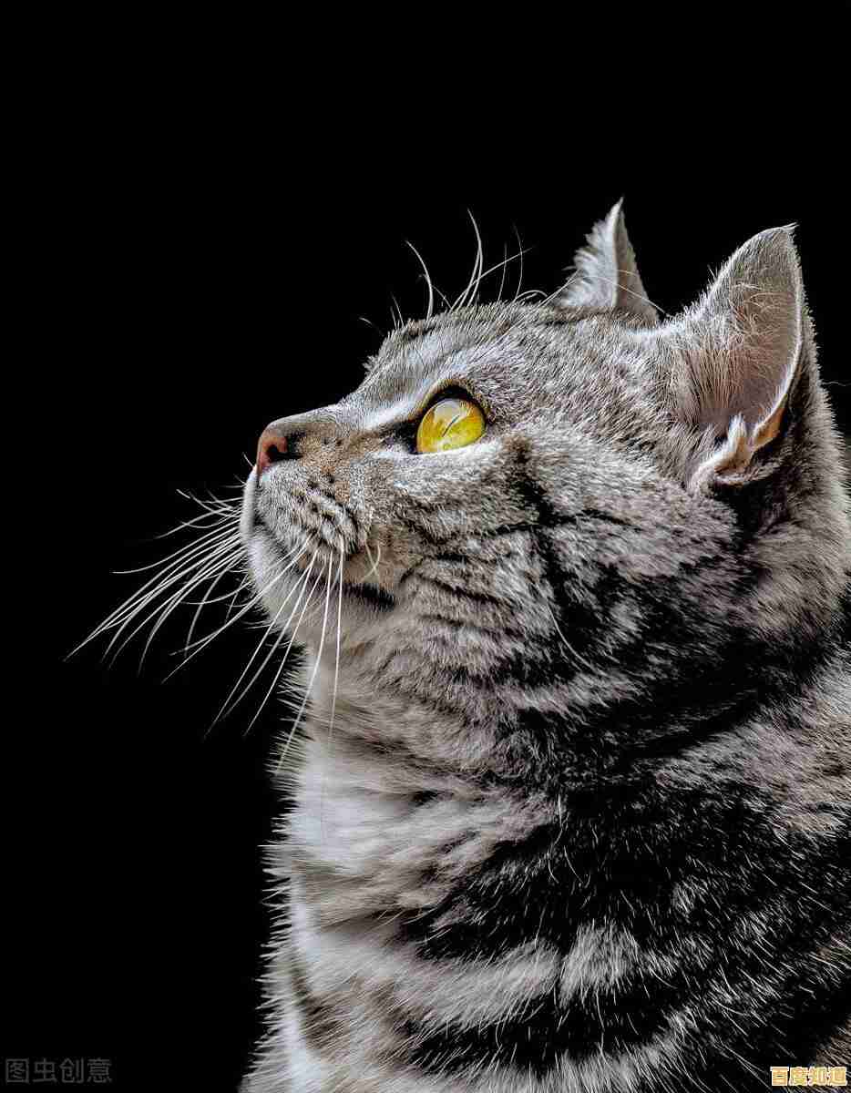 你敢挑战《乞丐模拟器》吗？在警官追捕与恶劣天气中挣扎求生的硬核模拟！