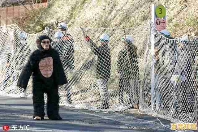空闲动物园管理员"谁说经营动物园只能枯燥乏味? 空闲动物园管理员"谁说经营动物园只能枯燥乏味?