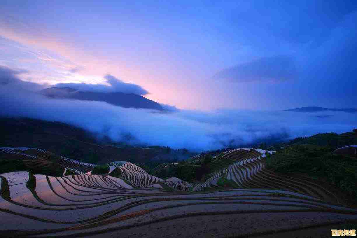 相机选购指南：天梯图深度解读，一眼看懂各品牌优劣！